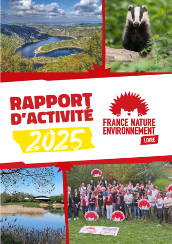 Bilan 2025