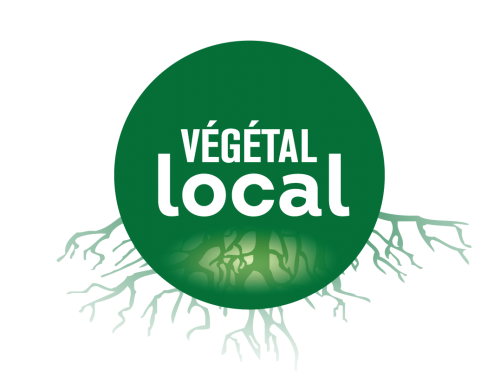 VL