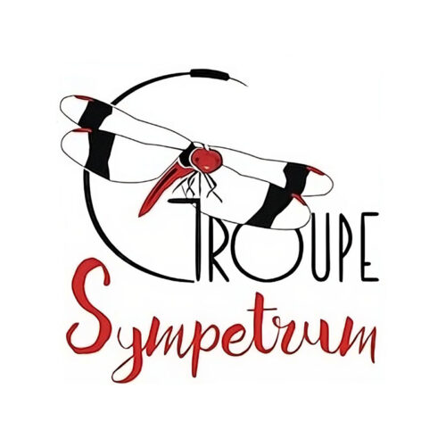 Goupe Sympetrum