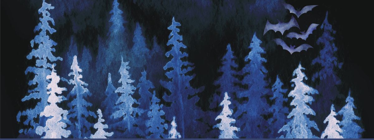 Journée du patrimoine