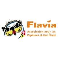 Flavia