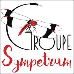 Sympetrum