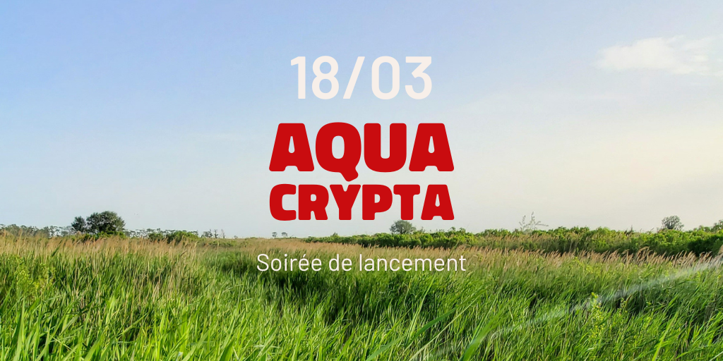 Soirée De Lancement Visuels Wordpress