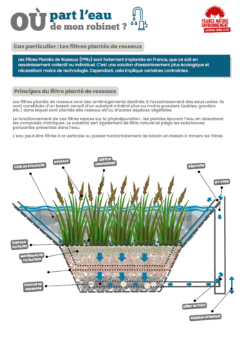 «Où part l'eau de mon robinet - Zoom filtres plantés de roseaux.pdf »